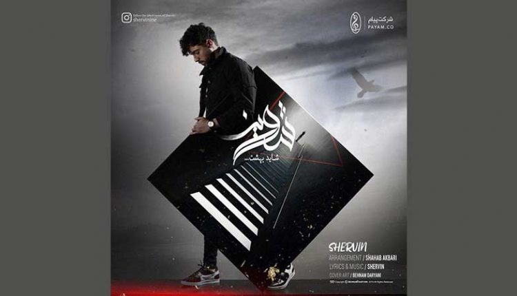 آکورد آهنگ شاید بهشت از شروین حاجی پور