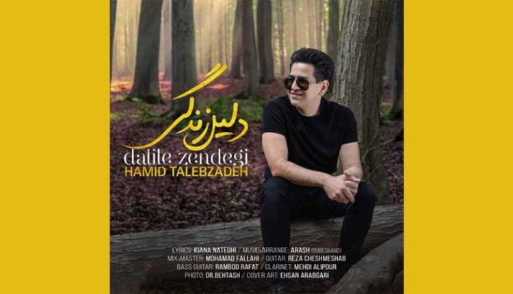 آکورد آهنگ دلیل زندگی از حمید طالب زاده